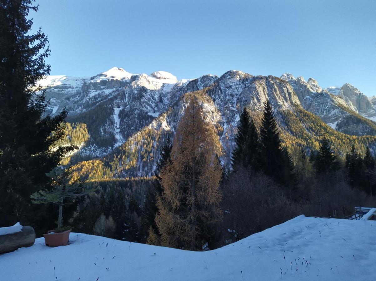 Appartamento I Larici Folgarida Bagian luar foto